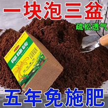 Ҭ�u�o�}�o���I�B��ͨ����Ҭ���o�}Ҭ�����N���B���N�˷NֲҬ�u��