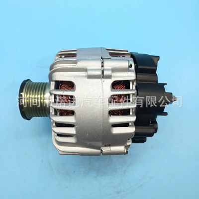 Tg12S319, Generatorlar hissələri (Dinamo və detalları)