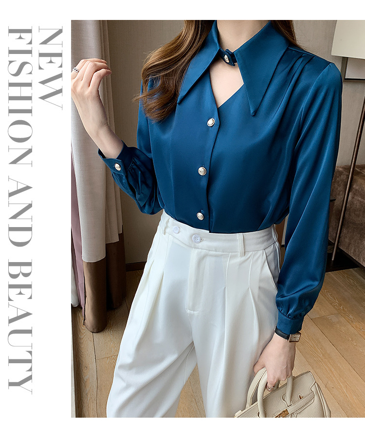 Elegant Blouse 4