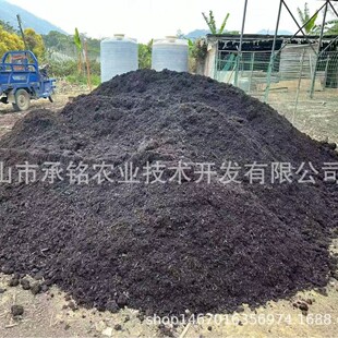 �ЙC�|�����ЙC��Ģ������ș��������|�Nֲ���S��ֱ��