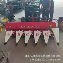 �F���������~���ո�C �����󶹸��C �Ե���������C���l