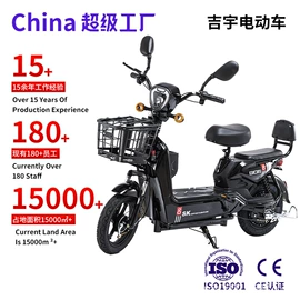 其他电动车;电动三轮车