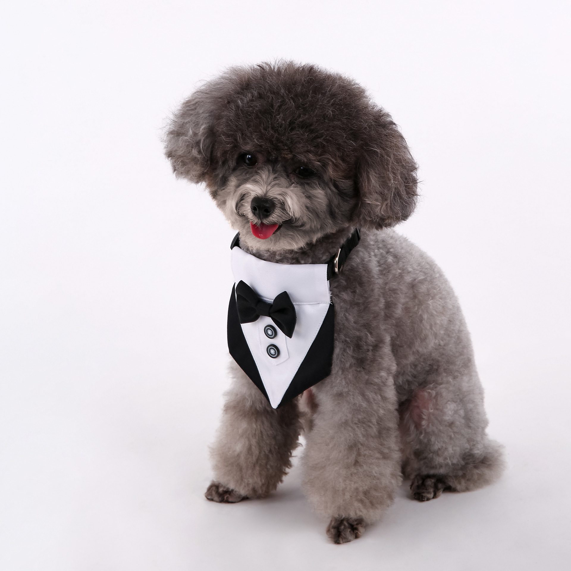 Transfronterizos nuevos trajes de boda de estilo británico perros y gatos toallas de saliva de boda toallas de triángulo para mascotas bufandas suministros