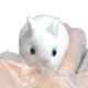 Super soft cute rabbit soft rotten decompression pinch music toys decompression vent high color value slow rebound pinch toys wholesale