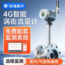 智能涡街流量计气体液体蒸汽计量表4G远程抄表数显仪表赠抄表系统