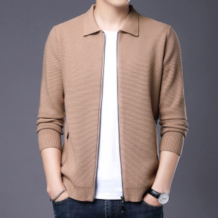 Autumn Men's Lapel Knitwear Outerwear 2025 New Zipper Cardigan Short Jacket Casual Solid Color Top Korean Style