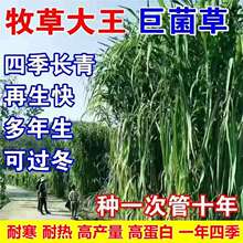 �����ظ߮a�޾��ݷN�Ӷ������ļ����ݷN���Bֳţ���i�~����������