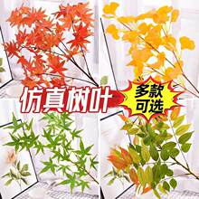 ����t��֦��֦���~���b�����ֲ��@�־G�������y�Ә��㴻���쾰