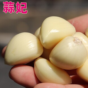 �����nɽ����ȥƤ5���bɽ�|���r�����^�ֹ���Ƥ���ø����Ӱ���