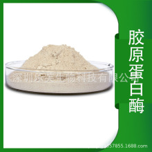 zԭø Ïͺø ~ƤţƤӹ ø zԭˮ