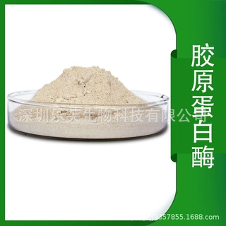 胶原蛋白酶 专用复合酶 鱼皮牛皮加工 生物酶 胶原蛋白水解