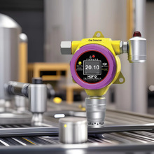 固定式硫化氢气体检测仪 工业级防爆H2S气体监测报警器厂家