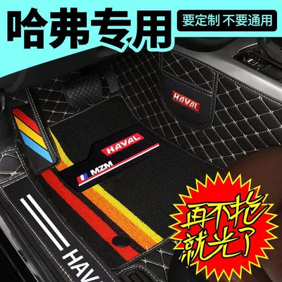 Universal Foot Pad M6 Plush2S Big Dog First Love - single-main-driver-double-layer-message-kf-17-20-haval-m6