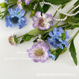 �����Ʒ�|݆�S�� ���x�� �{�軨 ��ˇ�OӋ �ҾӘӰ��g �Ĕz����