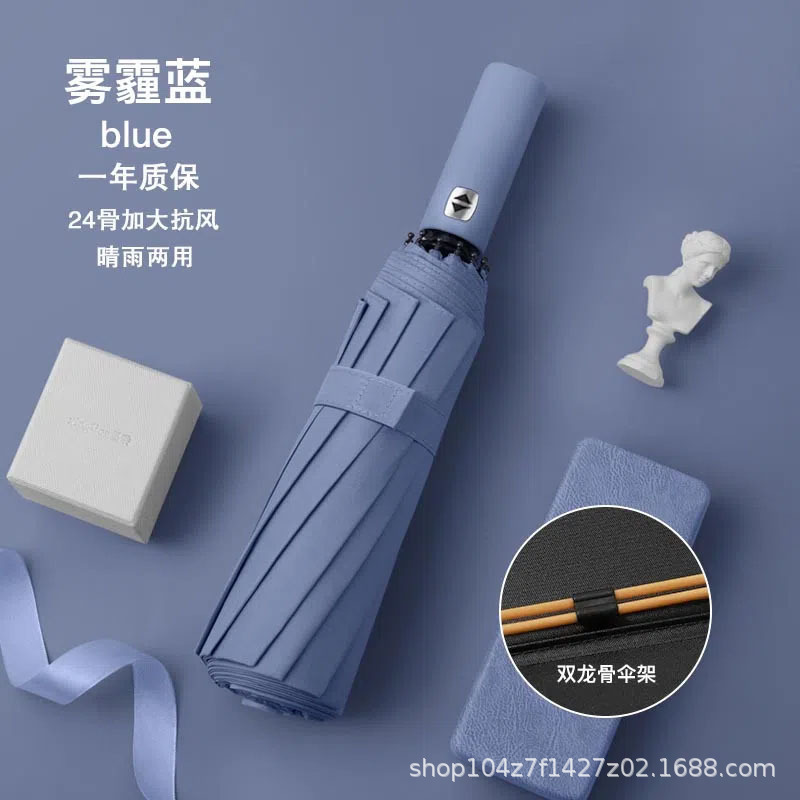 12 뼈 이중 뼈 연무 블루