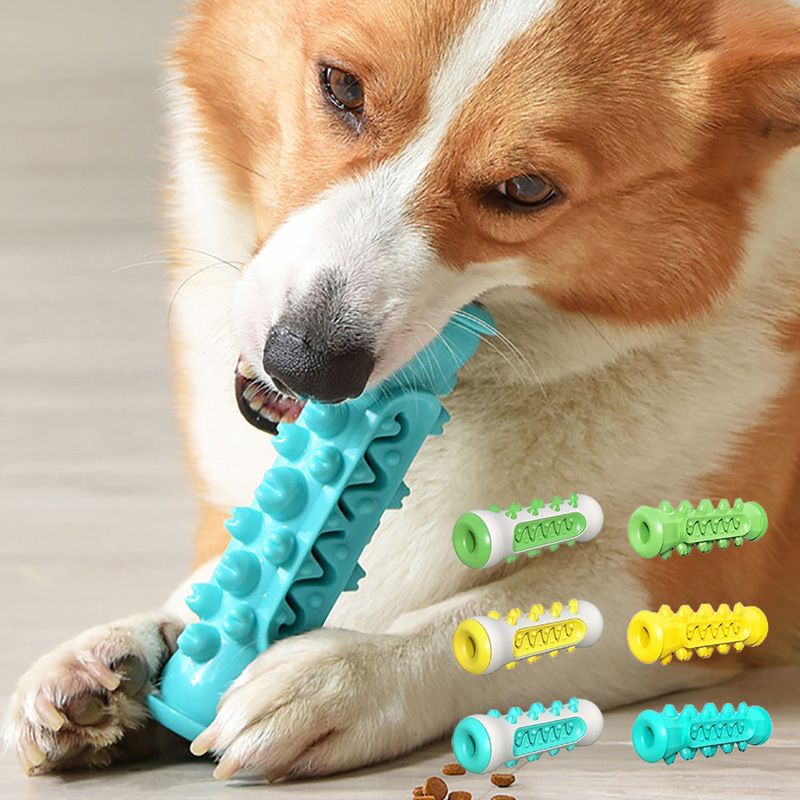 Pet Supplies Amazon New Dog Toy Grinding Bar Bite Resistant Bone Cleaning Toothbrush Cleaning Gel