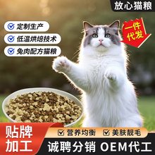 o؈Z決؈ZørnëʳƷIBߵ׵͜غ決