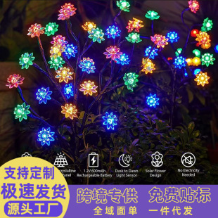 ̫��ܘ�֦�ɻ�������ͥԺ��led��ɫ�ز徰�^���@���b���ƺ��