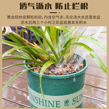 #树皮腐熟松树鳞养根发酵软栎树皮石斛蝴蝶兰花种植营养土植直销