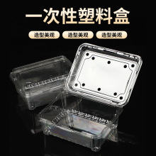 批发一次性水果包装透明带盖盒长方形塑料水果店打包盒婚庆专用
