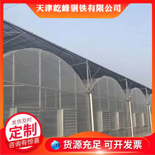 �B������S�����l���ܻ��ܜ��Ҵ��� �߲˹Ϲ������� ������ӹ�