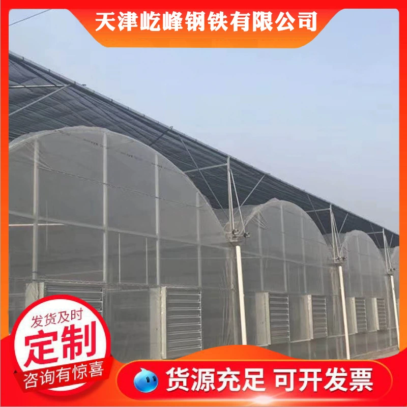 Лиан Донг производитель теплиц оптом умная цветочная теплица овощи, дыня и фрукты сарай виноградный сарай обработка