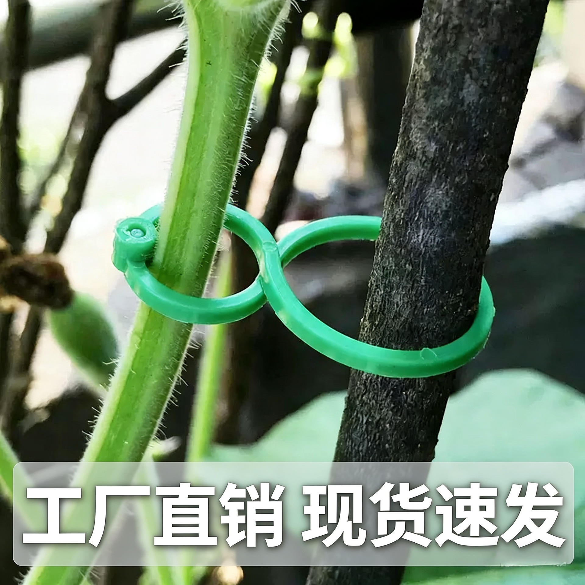 Planting vine fixing clip climbing vine plant stem support garden tools 8-shaped buckle multifunctional gardening buckle