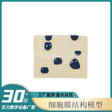 ����Ĥ�Y��ģ����ʾ������������̌W������ʾ�����ҽ̌Wģ���þ�