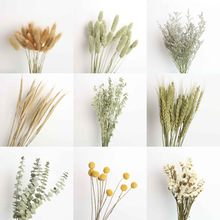 干花花束兔尾草小麦宝石草黄金球勿忘我情人草DIY插花花材永生花