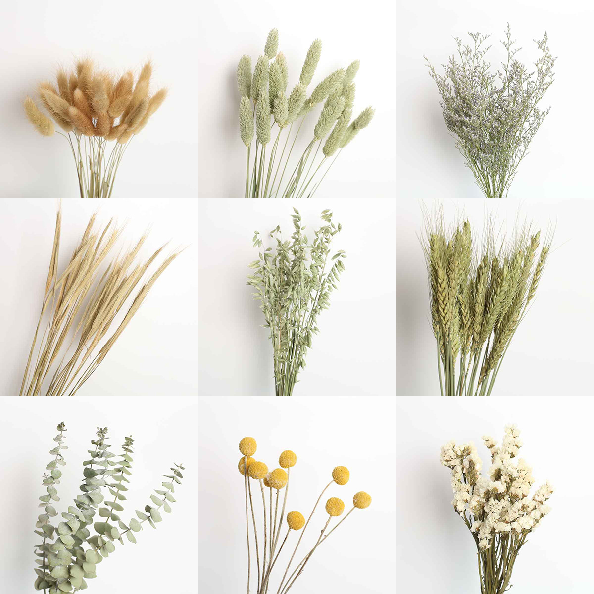 干花花束兔尾草小麦宝石草黄金球勿忘我情人草DIY插花花材永生花