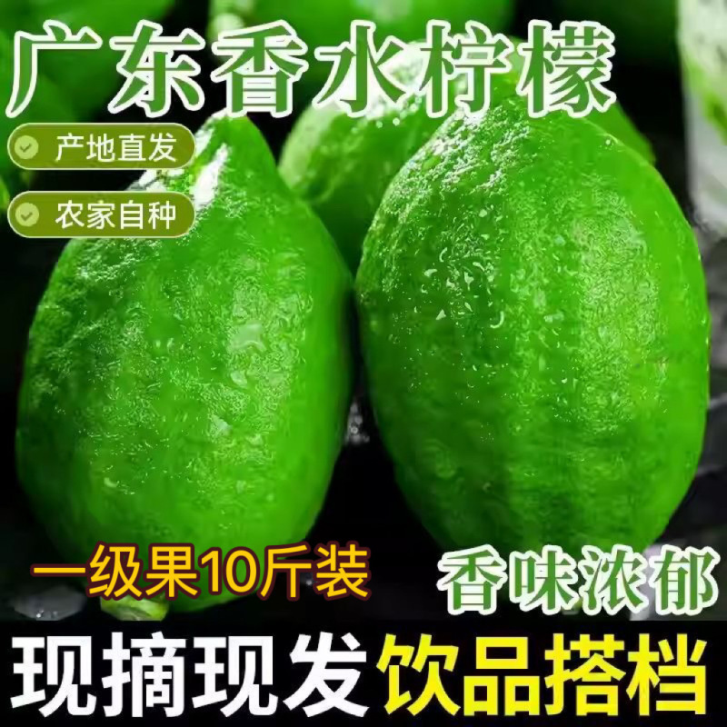 Guangdong Perfume Lemon, Fresh and Authentic Green Lemon, Seedless, Selected First-Grade Fruit, Seasonal Fruit for Milk Tea Shops