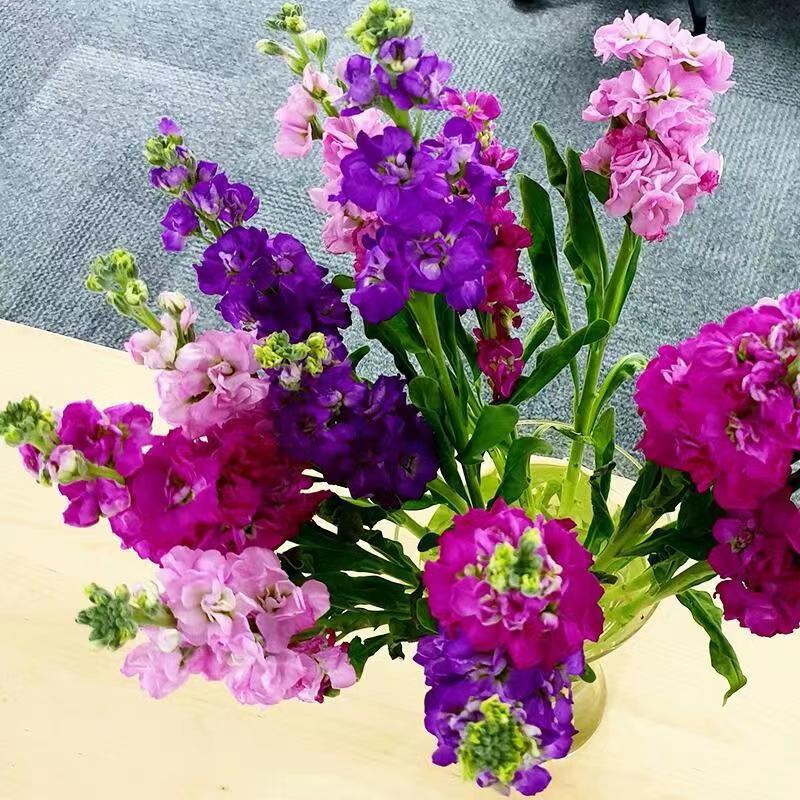 Venta al por mayor de semillas de flores y plantas eustoma malvarrosa peonía cobre dinero hierba margarita rosa sol peonía flor combinación de flores