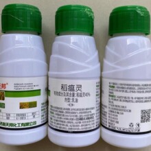 �����`�~���i����������