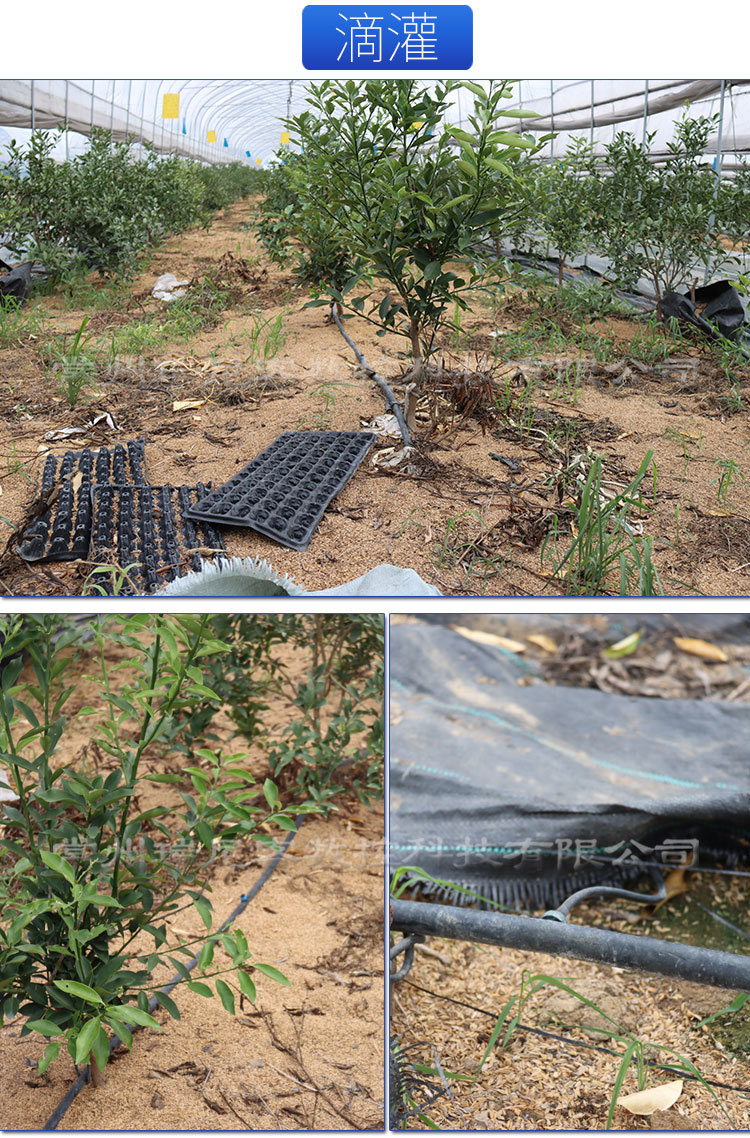 智能水肥一体机