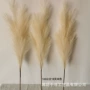 跨境仿真婚庆家居芦苇