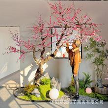 ���澫Ʒ�һ��҃����b�����t���S�W�t�lؔ��[��