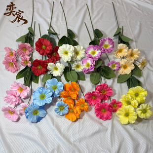 �羳���N4�^��������c�����廨�bҾӔ[�����ˇ�Ҿ��b��