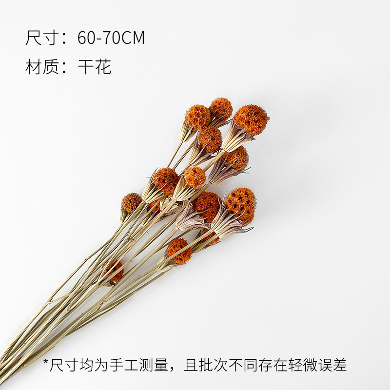 芯苼 中秋节月满丰收干花鲜花束搭配材料节日礼物装饰花艺手工diy|undefined