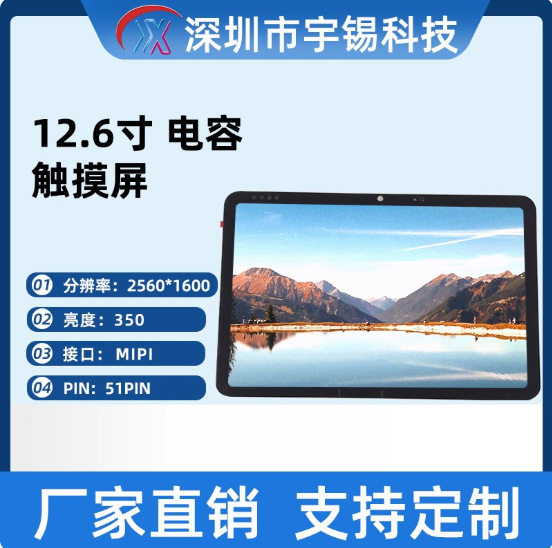 Yuxi 12.6inch Amoled Laptop Screen High Resolution 2560*1600 Tablet Screen Gt6975P