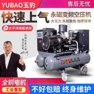 Mobile Integrated Screw Air Compressor Permanent Magnet Variable Frequency Silent Air Compressor Real Stone Paint Wind Pick for Auto Repair