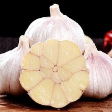 ����ӡ�ɽ�|���� ���l1/9���r�ҼtƤ�������^���������r�߲�