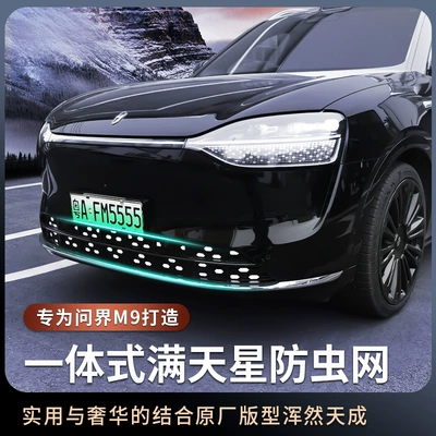 M9 Anti-insect Net Removable Front: Automobile anti-insect net
