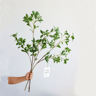 �����ձ����R�R��ľ���ԾGֲ���l�zӰ�����҃��b�֧��ˇ�߷���