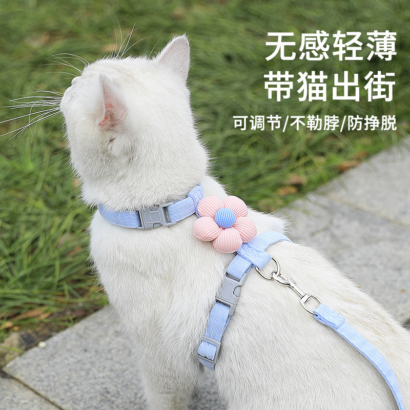 猫用リード、猫用リード、外出時の脱走防止、特別な調節可能なハーネス、テディビションペット用品|undefined
