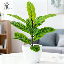 �羳��Ʒ���W�L�������Gֲ���Z�q��ȸ�٘�ֲ�����ԼҾӑ����쾰