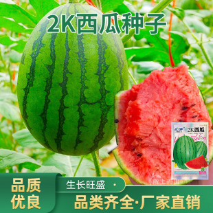 2K���ϷN�����Ա���С���ϷN������tȿƤ������Ϲ�ˮ���N�Ӵ�ȫ