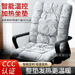 工場卸売加熱式シートクッション、オフィス用電熱パッド、越境一体型シートクッション、秋冬用背もたれ一体型クッション、加工可能