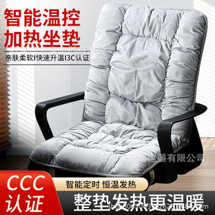 Manufacturer Wholesale Heated Seat Cushion Office Electric Heating Cushion Cross-Border One-Piece Seat Cushion Autumn and Winter Back Cushion Integrated Can Be Processed