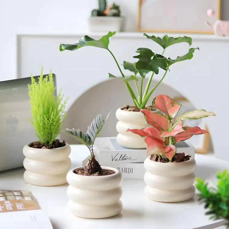 Nordic ins ветер керамический цветочный горшок простой офисный стол зеленый горшок горшок керамический крем ветровой цветочный горшок