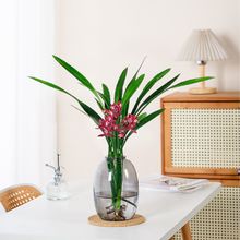 ����ī�mˮ��ֲ���k�����̨�ļ����B�m���������҃����滨�ܾGֲ